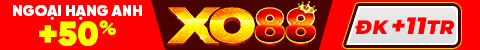 footer banner 4